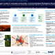 image of poster presentation